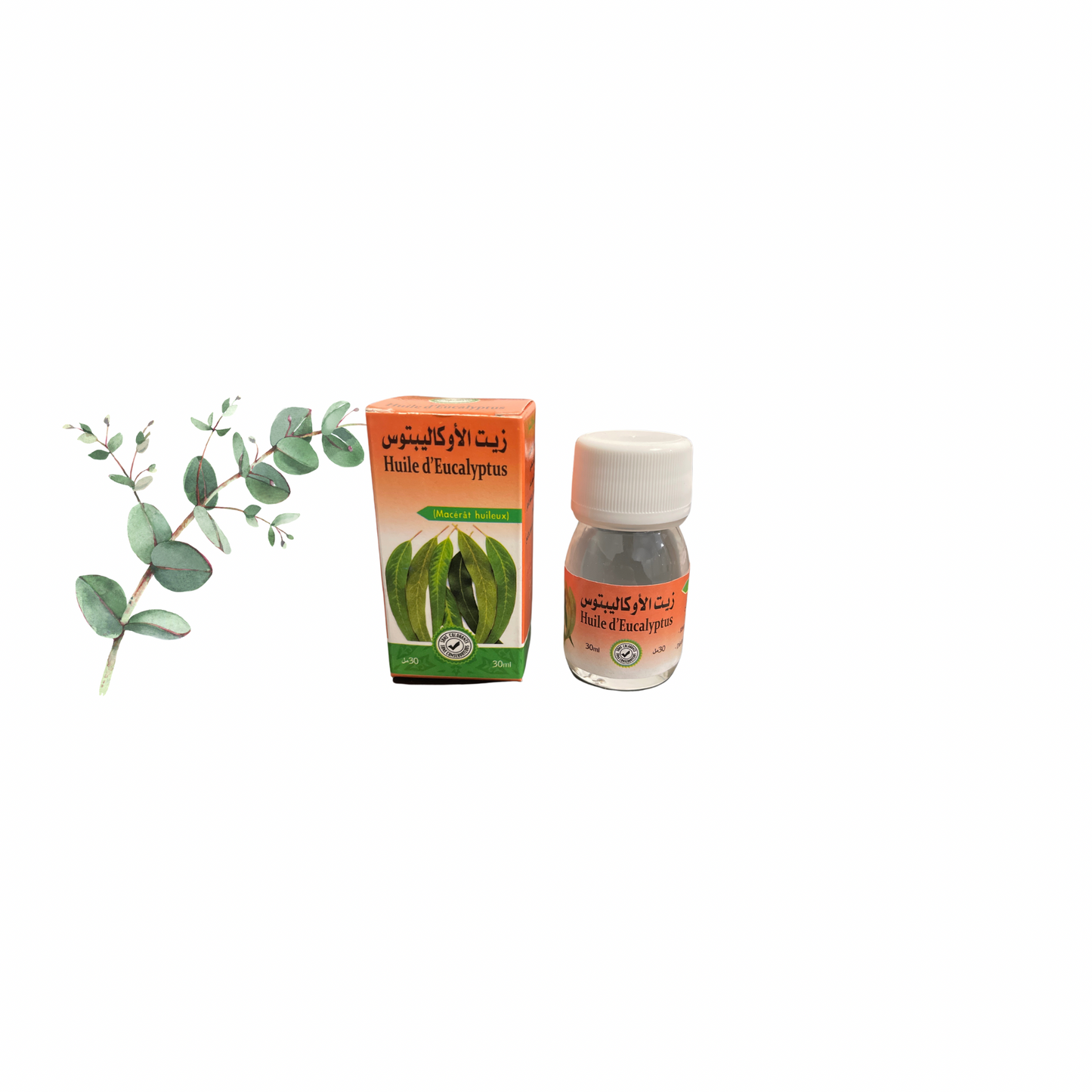 Huile d'Eucalyptus