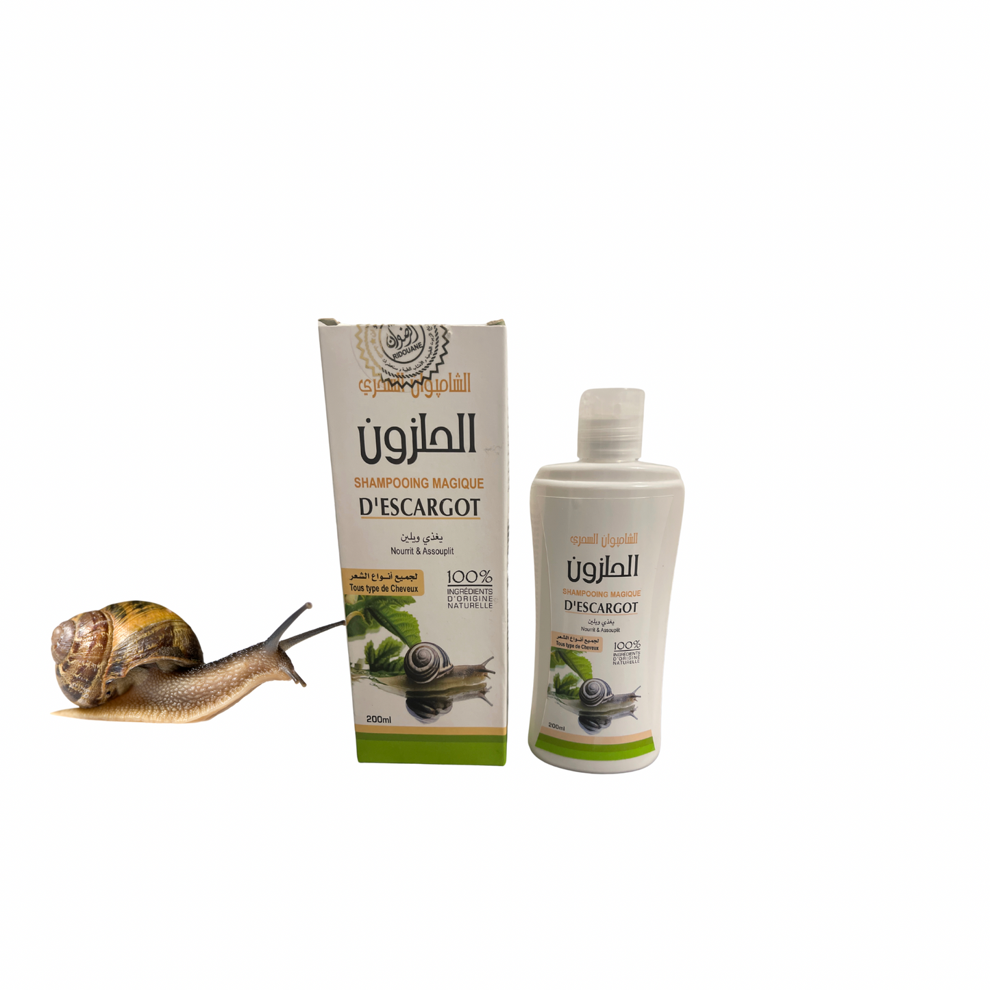 Shampoing à la Bave d'Escargot