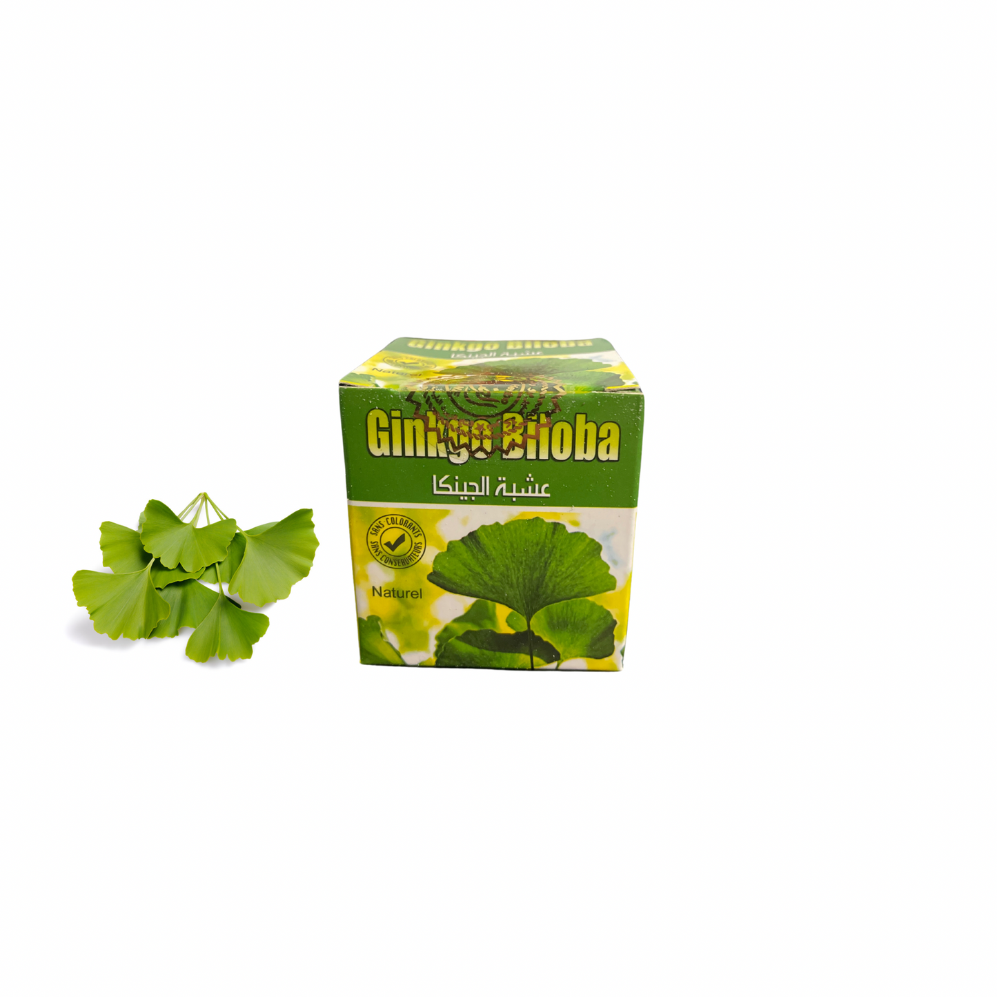 Ginkgo Biloba