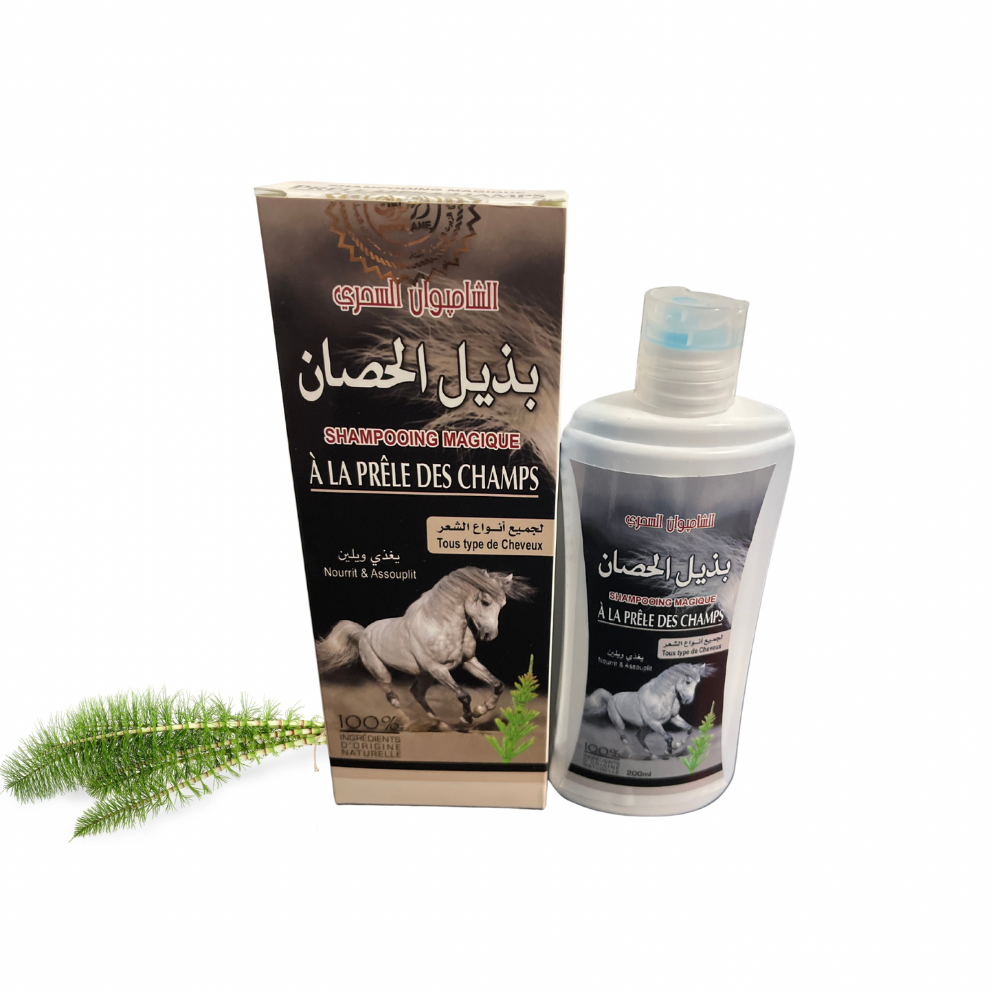 Shampoing à la Prêle des Champs