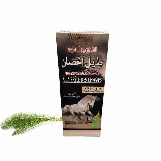 Shampoing à la Prêle des Champs